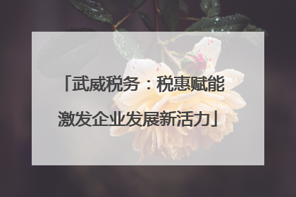 武威税务：税惠赋能 激发企业发展新活力