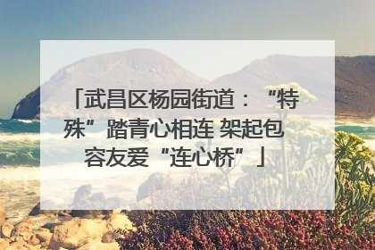 武昌区杨园街道：“特殊”踏青心相连 架起包容友爱“连心桥”