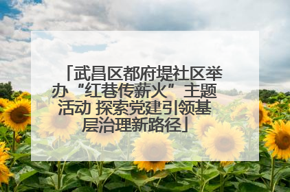 武昌区都府堤社区举办“红巷传薪火”主题活动 探索党建引领基层治理新路径