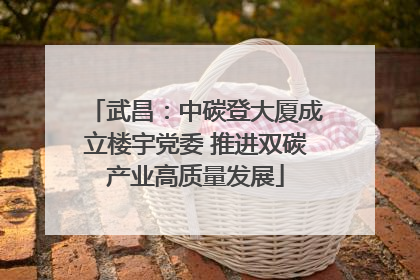 武昌：中碳登大厦成立楼宇党委 推进双碳产业高质量发展