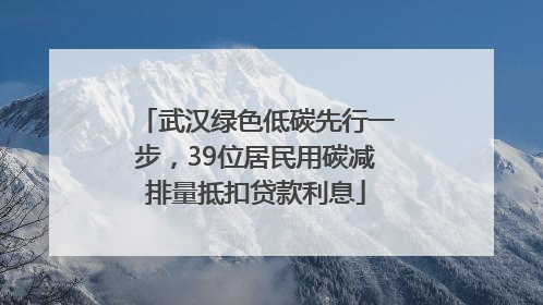武汉绿色低碳先行一步，39位居民用碳减排量抵扣贷款利息