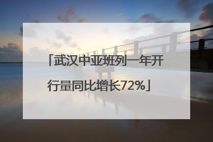 武汉中亚班列一年开行量同比增长72%