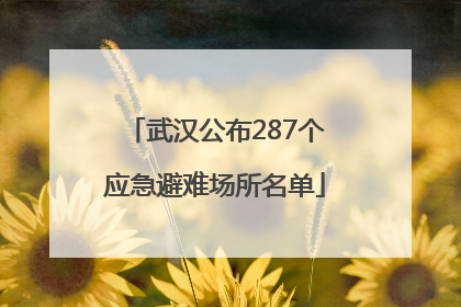 武汉公布287个应急避难场所名单