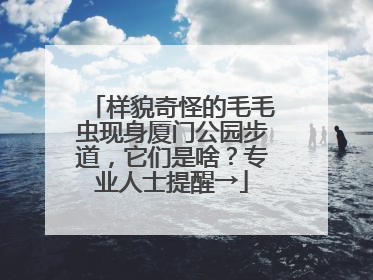 样貌奇怪的毛毛虫现身厦门公园步道，它们是啥？专业人士提醒→