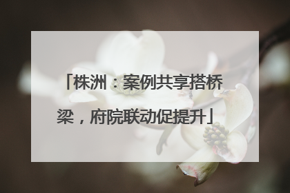 株洲：案例共享搭桥梁，府院联动促提升