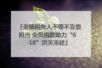 桑植税务人不等不靠显担当 全员捐款助力“6·18”洪灾重建