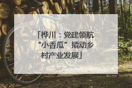 桦川：党建领航“小香瓜”撬动乡村产业发展