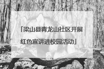 梁山县青龙山社区开展红色宣讲进校园活动