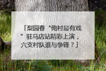 梨园春“俺村最有戏”驻马店站精彩上演，六支村队谁与争锋？