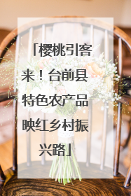 樱桃引客来！台前县特色农产品映红乡村振兴路
