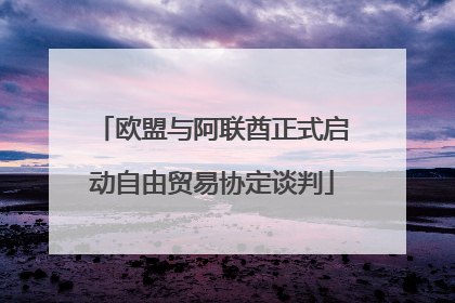 欧盟与阿联酋正式启动自由贸易协定谈判