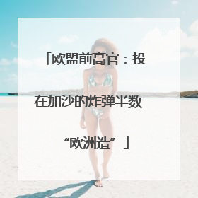 欧盟前高官：投在加沙的炸弹半数“欧洲造”