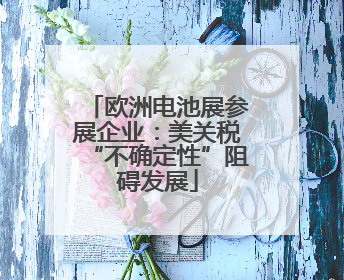 欧洲电池展参展企业：美关税“不确定性”阻碍发展