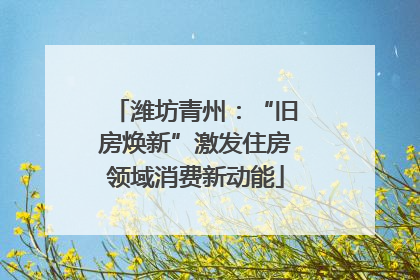 潍坊青州：“旧房焕新”激发住房领域消费新动能