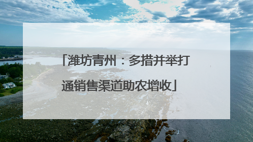 潍坊青州：多措并举打通销售渠道助农增收
