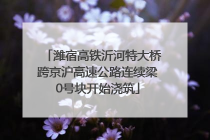 潍宿高铁沂河特大桥跨京沪高速公路连续梁0号块开始浇筑