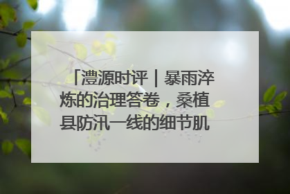 澧源时评｜暴雨淬炼的治理答卷，桑植县防汛一线的细节肌理与体系力量