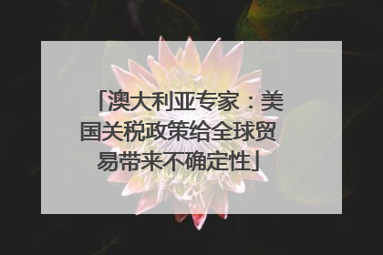 澳大利亚专家：美国关税政策给全球贸易带来不确定性