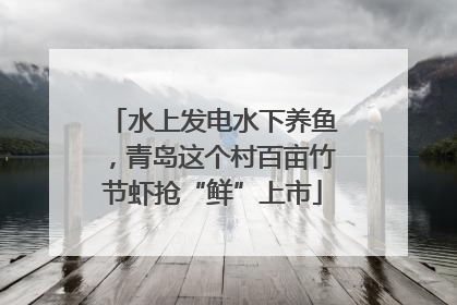 水上发电水下养鱼，青岛这个村百亩竹节虾抢“鲜”上市