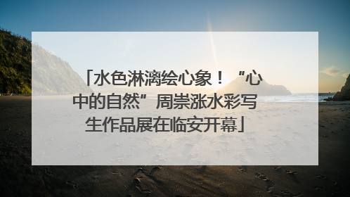 水色淋漓绘心象！“心中的自然”周崇涨水彩写生作品展在临安开幕