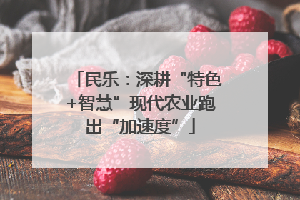 民乐：深耕“特色+智慧”现代农业跑出“加速度”