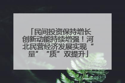 民间投资保持增长 创新动能持续增强！河北民营经济发展实现“量”“质”双提升