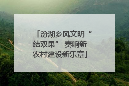汾湖乡风文明“结双果” 奏响新农村建设新乐章