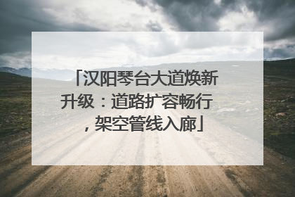 汉阳琴台大道焕新升级：道路扩容畅行，架空管线入廊