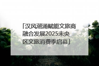汉风潮涌赋能文旅商融合发展2025未央区文旅消费季启幕