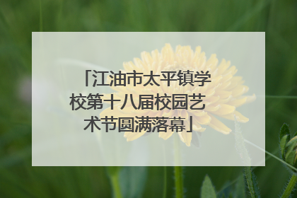 江油市太平镇学校第十八届校园艺术节圆满落幕