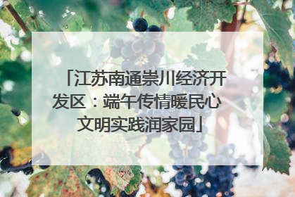 江苏南通崇川经济开发区：端午传情暖民心 文明实践润家园
