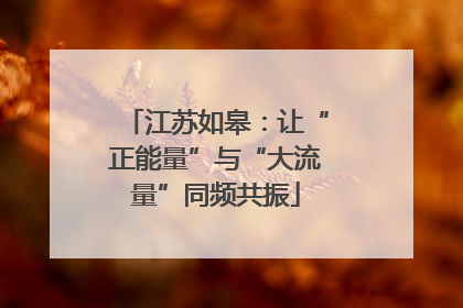 江苏如皋：让“正能量”与“大流量”同频共振