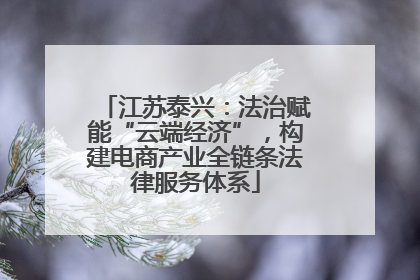 江苏泰兴：法治赋能“云端经济”，构建电商产业全链条法律服务体系