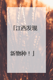 江西发现新物种！