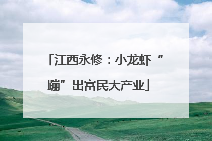 江西永修：小龙虾“蹦”出富民大产业