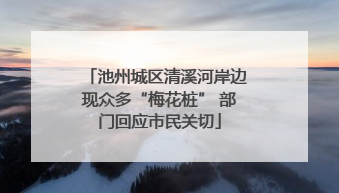 池州城区清溪河岸边现众多“梅花桩” 部门回应市民关切