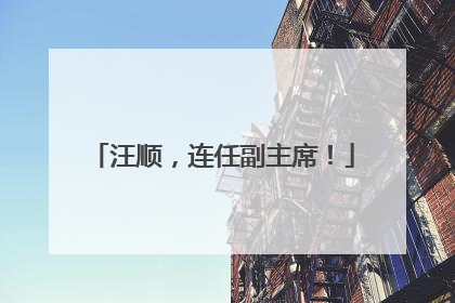 汪顺，连任副主席！