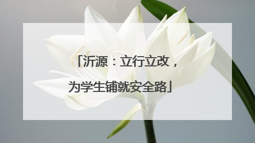 沂源：立行立改，为学生铺就安全路
