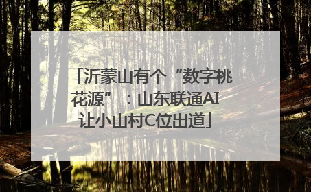 沂蒙山有个“数字桃花源”：山东联通AI让小山村C位出道