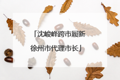 沈峻峰跨市履新徐州市代理市长