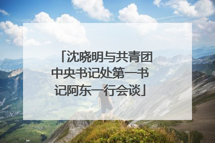 沈晓明与共青团中央书记处第一书记阿东一行会谈