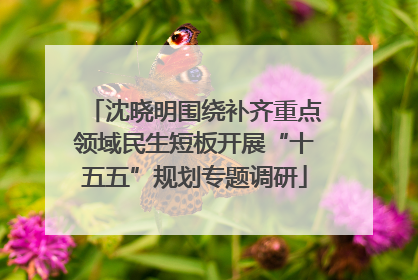 沈晓明围绕补齐重点领域民生短板开展“十五五”规划专题调研