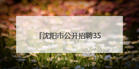 沈阳市公开招聘358名事业编制教师