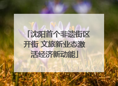 沈阳首个非遗街区开街 文旅新业态激活经济新动能