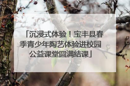 沉浸式体验！宝丰县春季青少年陶艺体验进校园公益课堂圆满结课