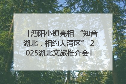 沔阳小镇亮相 “知音湖北，相约大湾区” 2025湖北文旅推介会