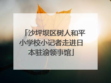 沙坪坝区树人和平小学校小记者走进日本驻渝领事馆