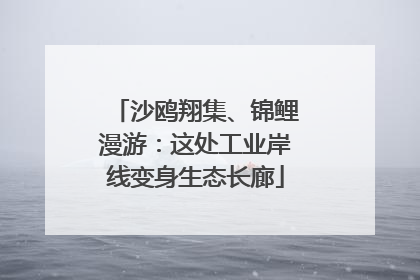 沙鸥翔集、锦鲤漫游：这处工业岸线变身生态长廊