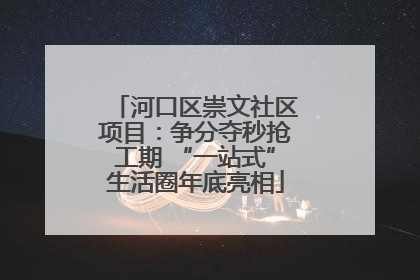 河口区崇文社区项目：争分夺秒抢工期 “一站式”生活圈年底亮相