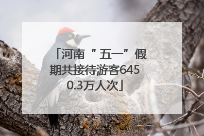 河南“ 五一”假期共接待游客6450.3万人次